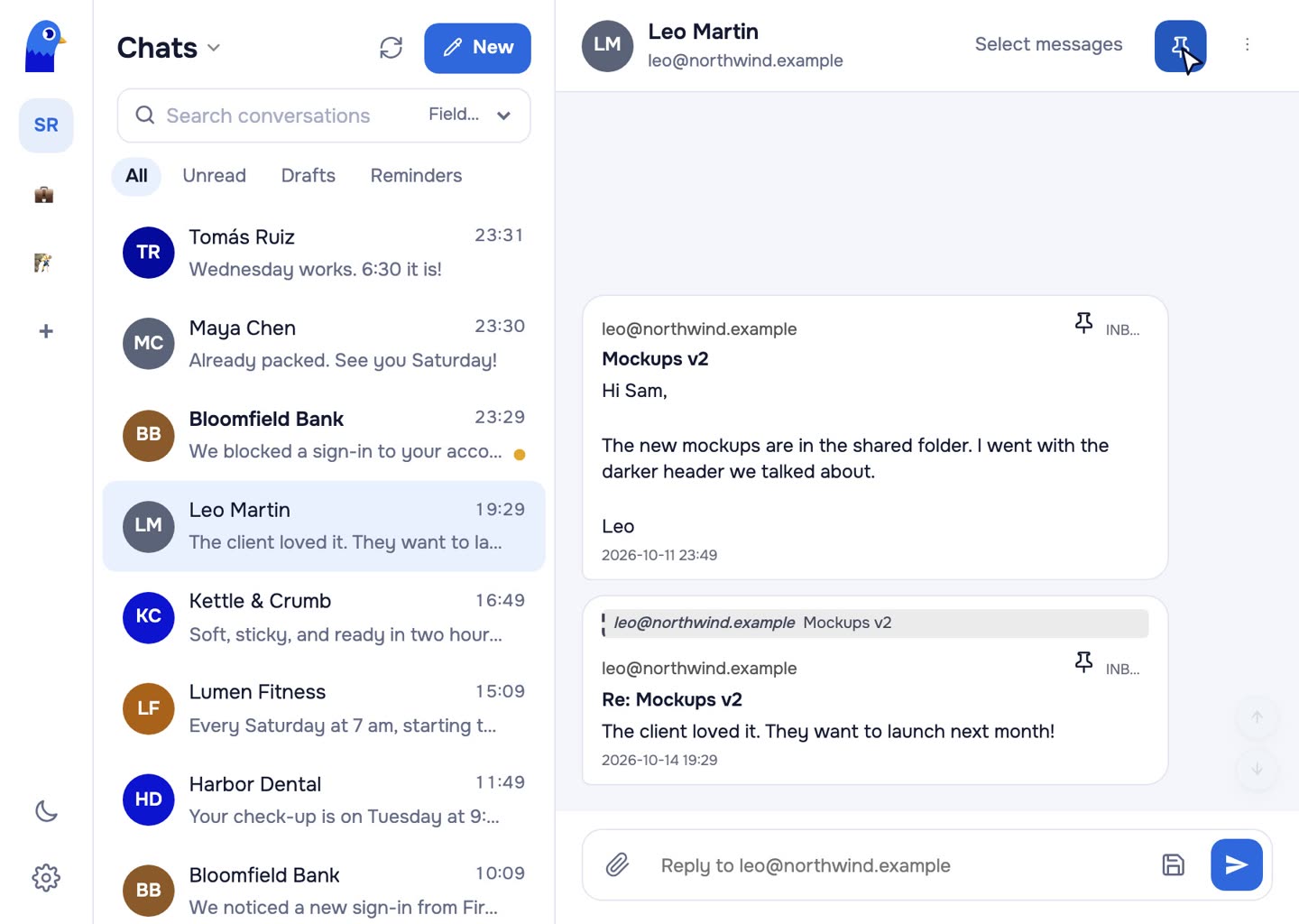 Leo's chat showing only the two pinned messages.